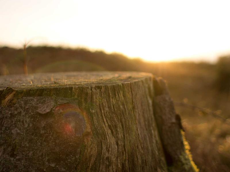 sudoku solver screenshot 3