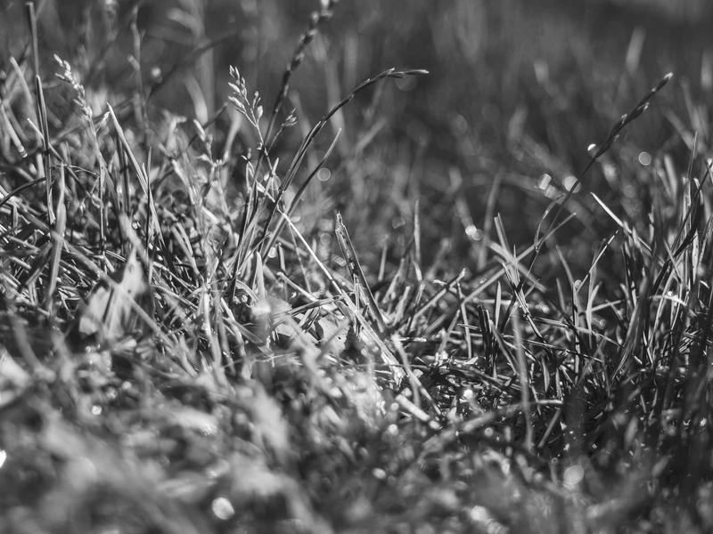 sudoku solver screenshot 4